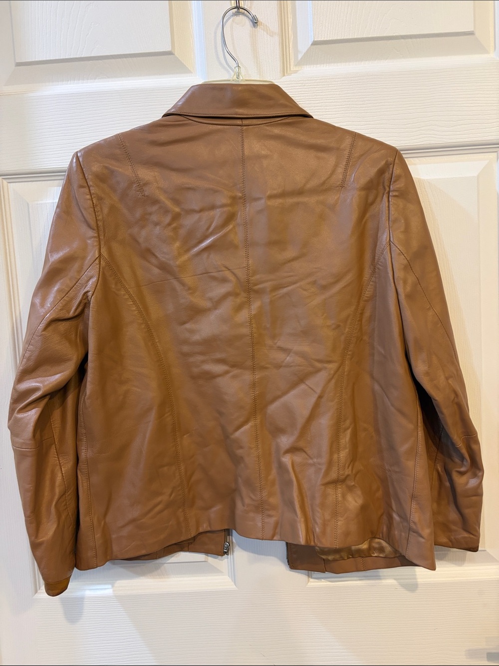 Leather Zip-Front Jacket in Tan - Picture 4 of 10